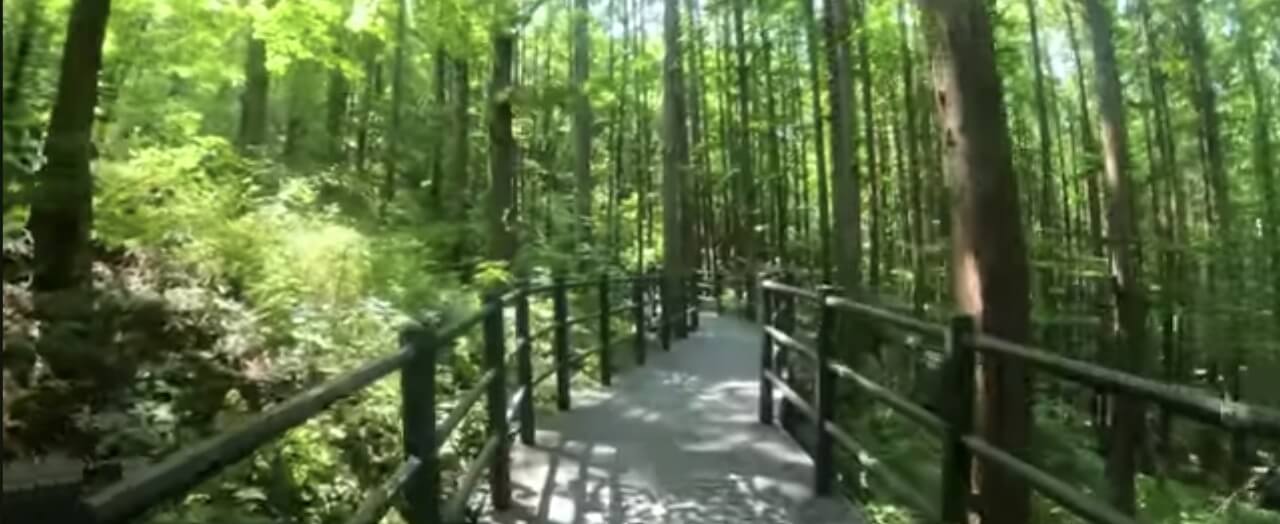 등산로