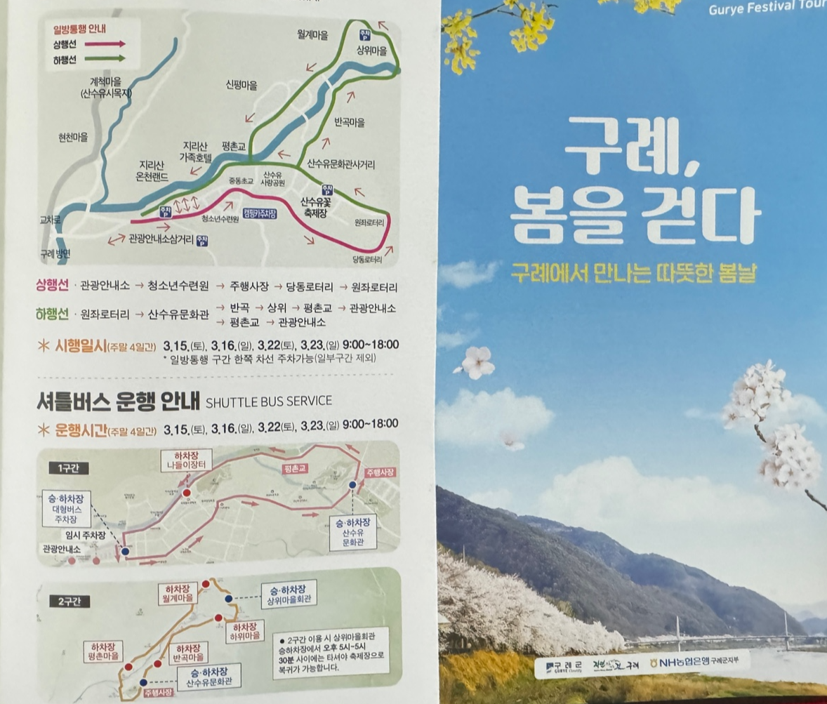 산수유축제
