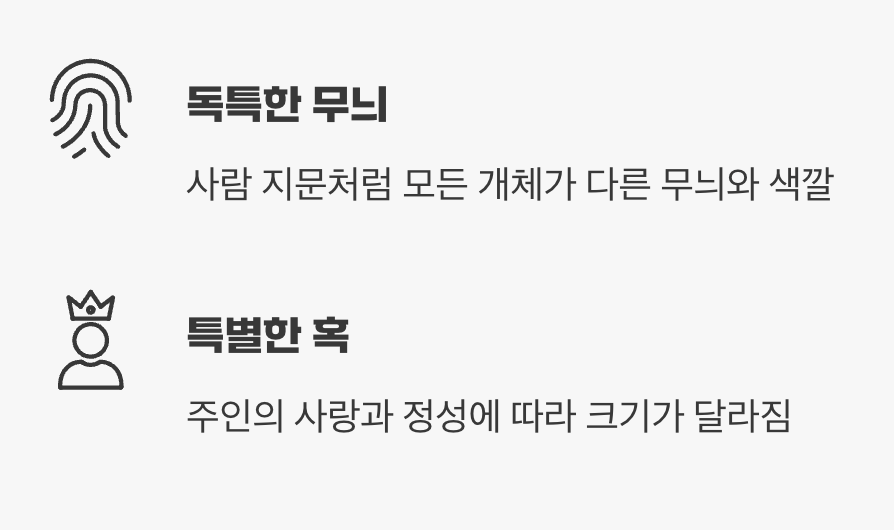 세상에 단 하나뿐인 나만의 물고기