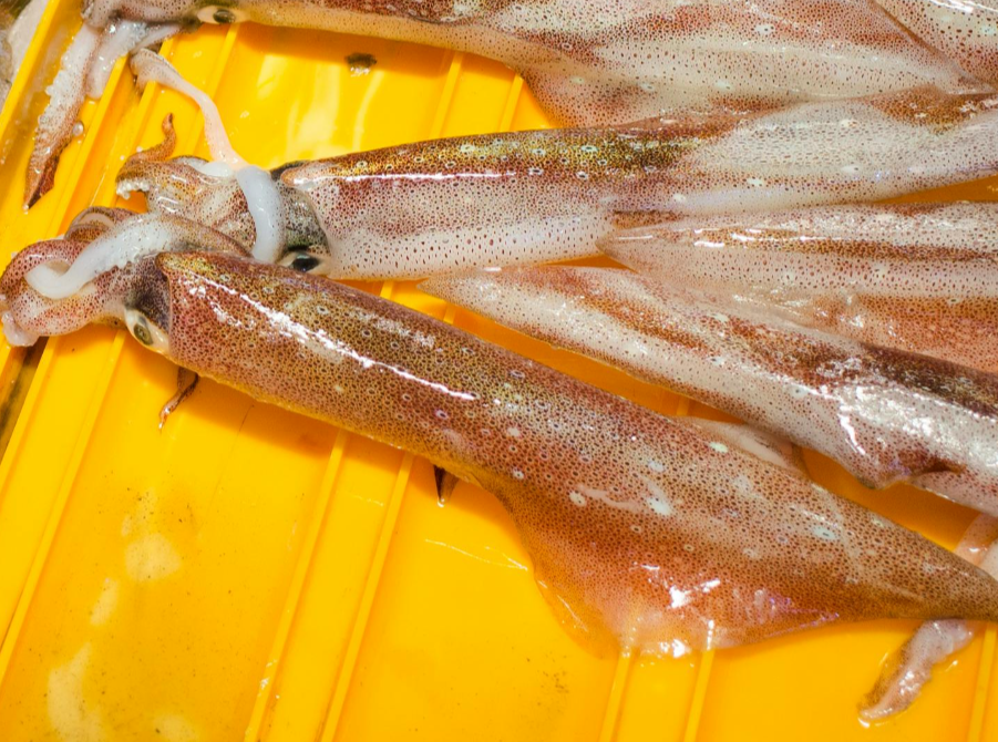 한치
