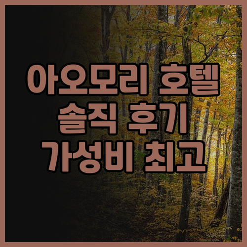 아오모리 호텔 추천 슈퍼 호텔 아오모..