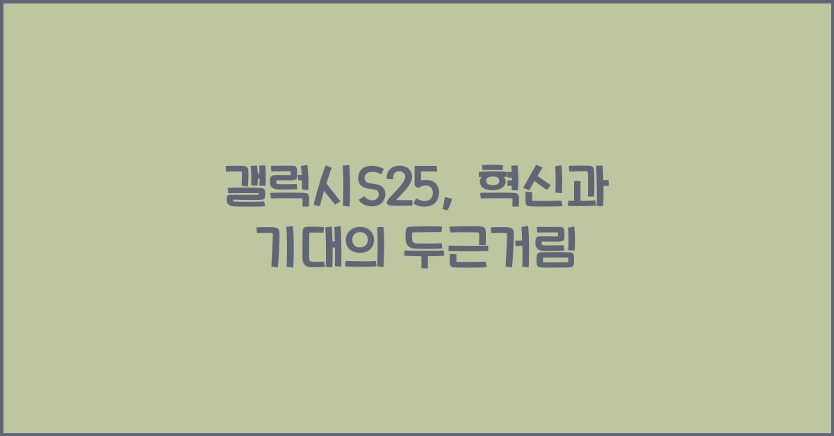 갤럭시s25