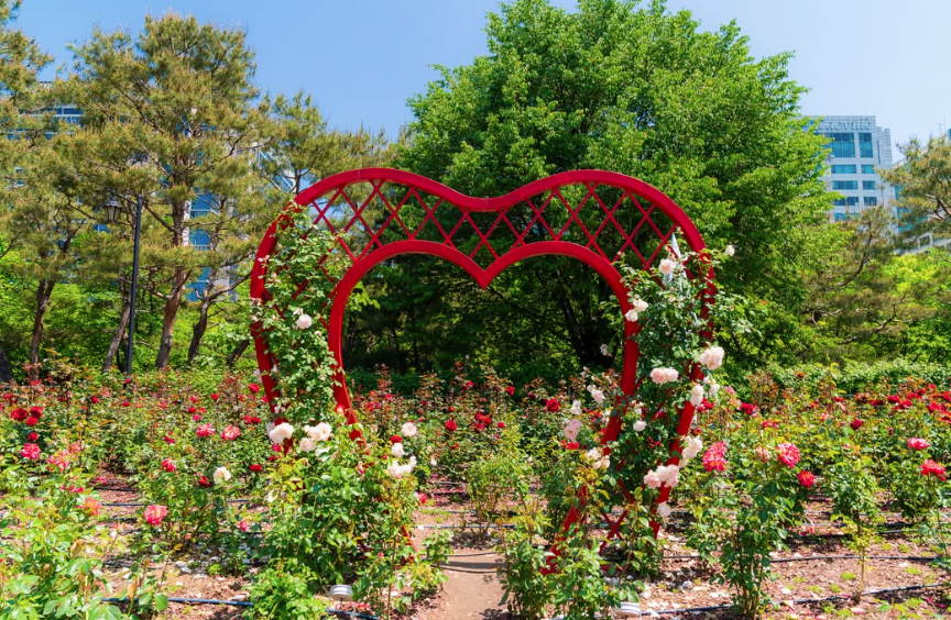 사진출처=고양국제꽃박람회 인스타그램