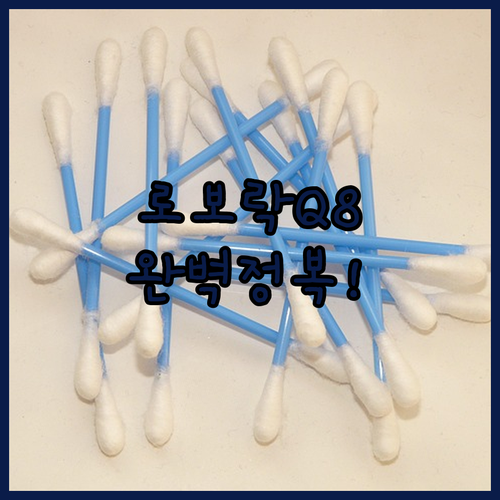 로보락 Q8 Max Pro 호환 소모..