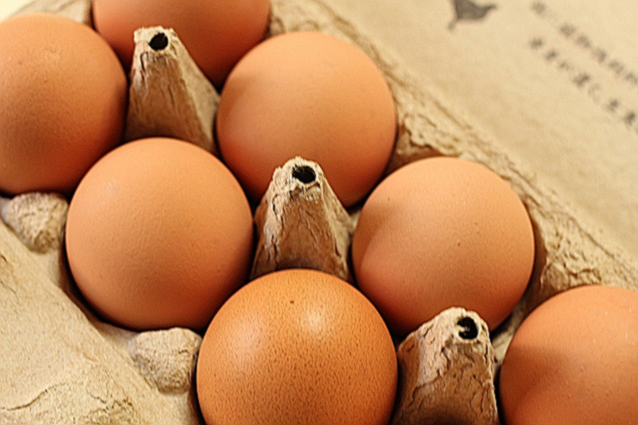 난유 효능 부작용