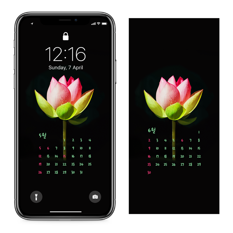 10 연꽃 검정배경 AB - 2024년5월 아이폰달력배경화면