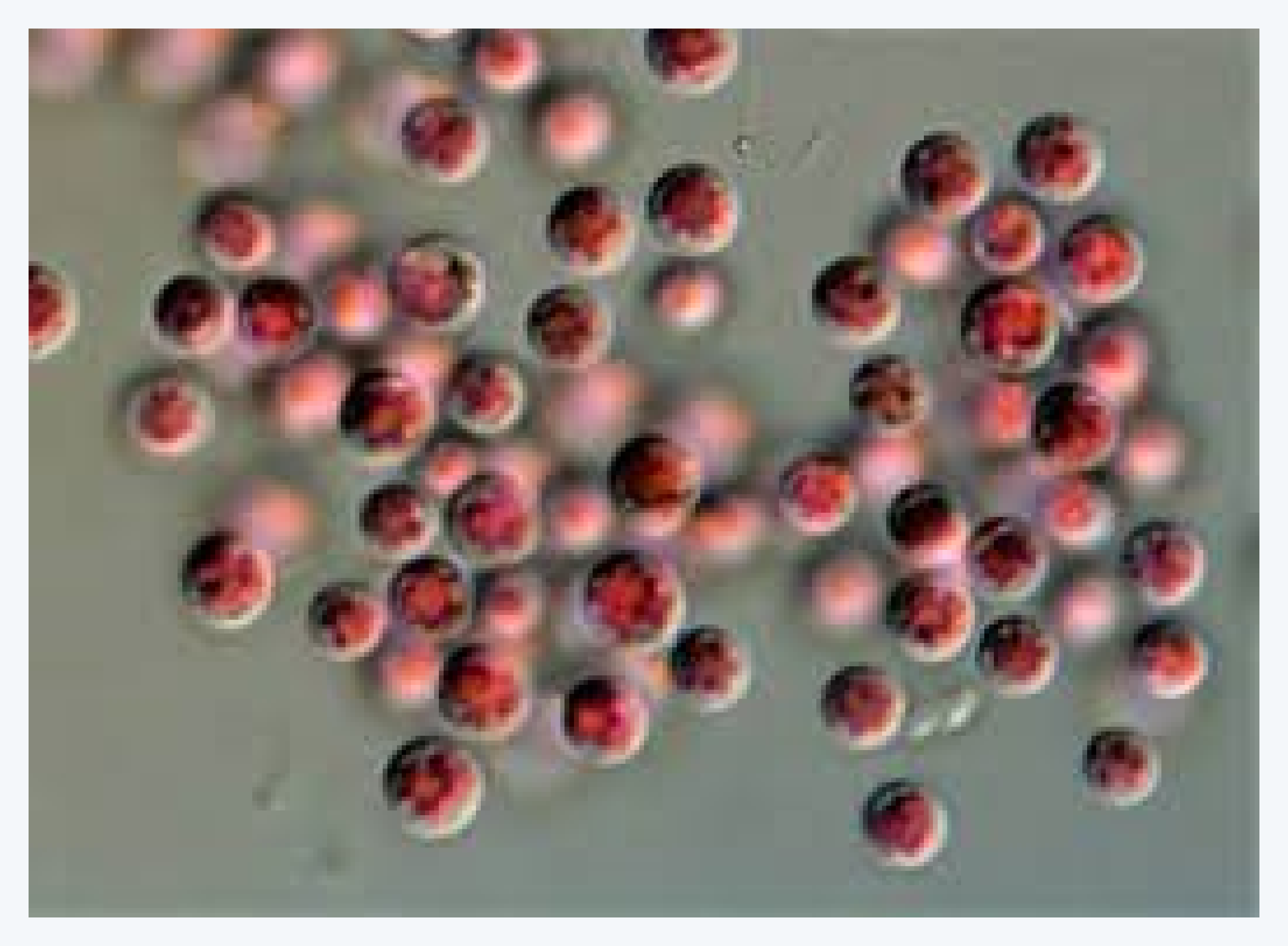 성균관대학교, 윤환수 교수님