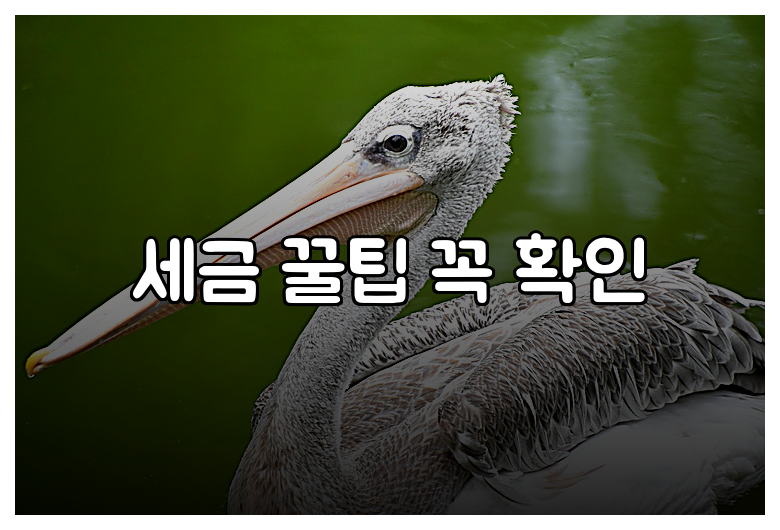 세금 꿀팁 꼭 확인