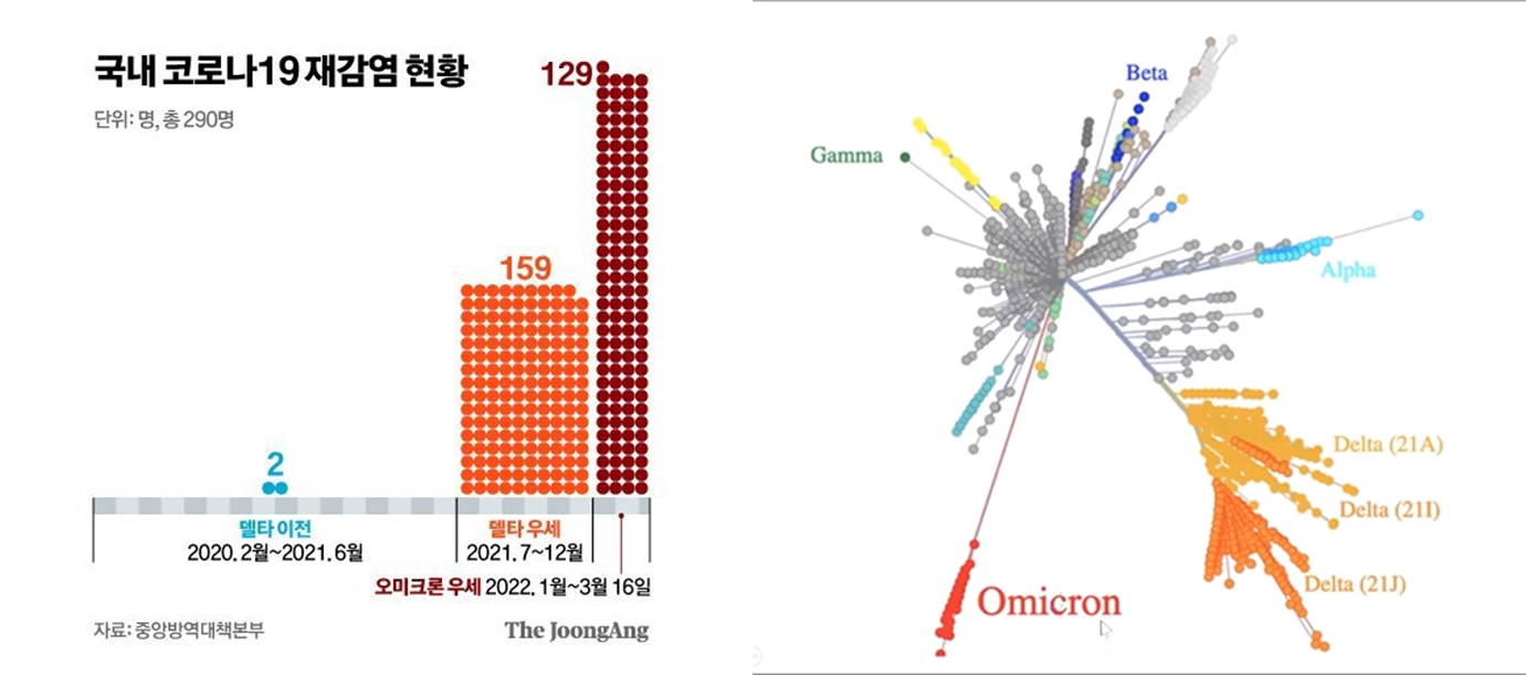 오미크론_변이_재감염