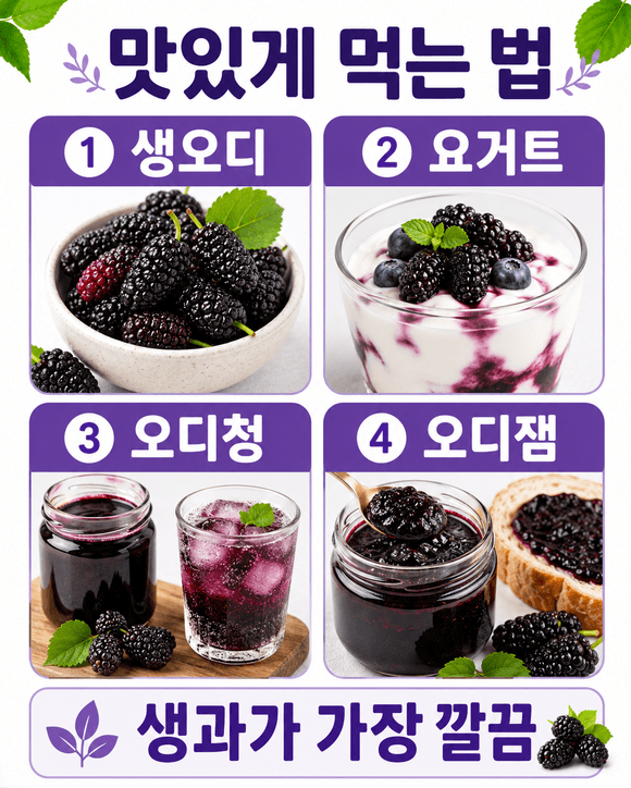 오디 효능