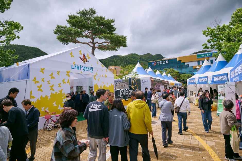 영양 산나물 축제 날짜. 장소. 일정