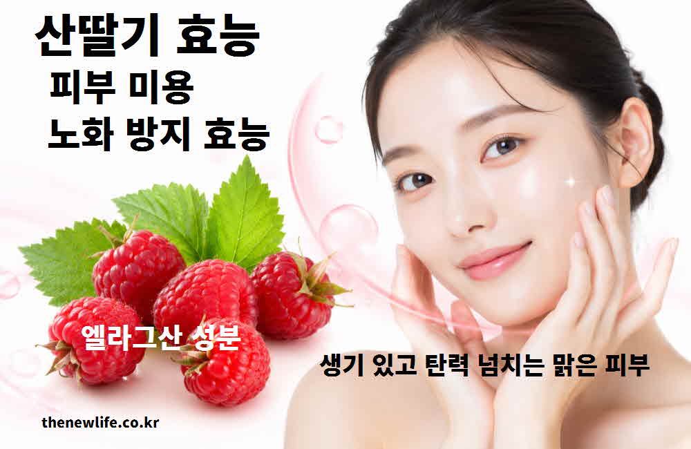산딸기 효능 피부 미용 노화 방지