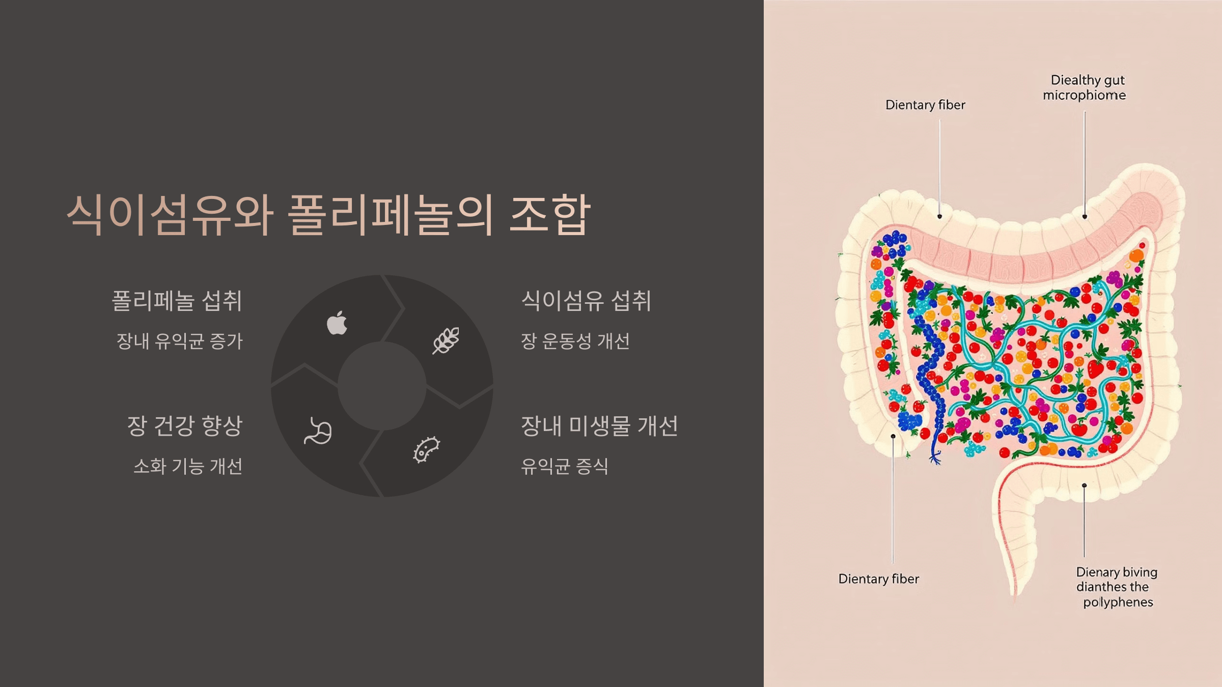 폴리페놀과 관련된 사진입니다.