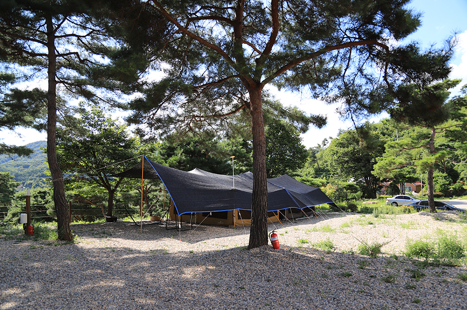 솔뜰 캠핑장