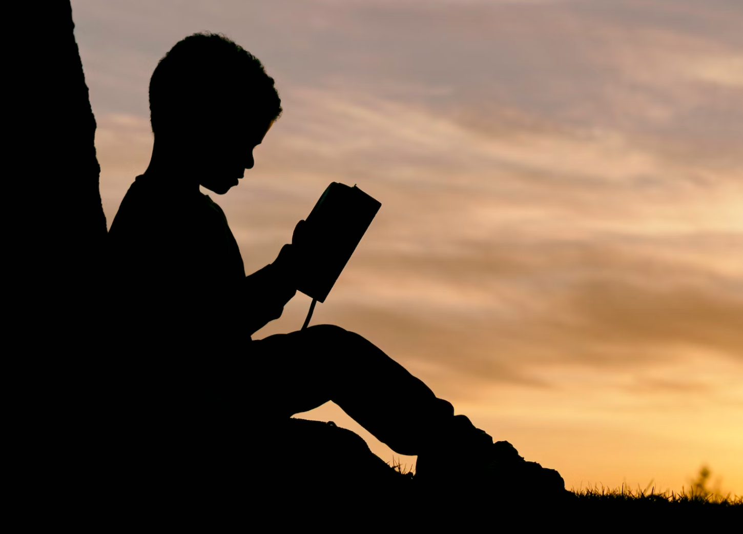 피그마리온 효과