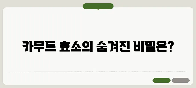 카무트 효소 효능 먹는 방법 부작용까지 정리