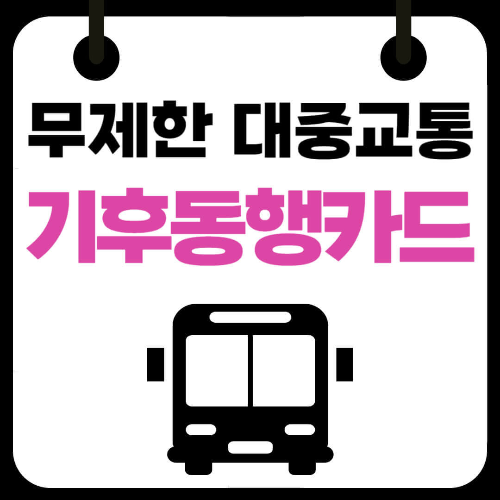 대중교통 정기권 월정액 6만5천원