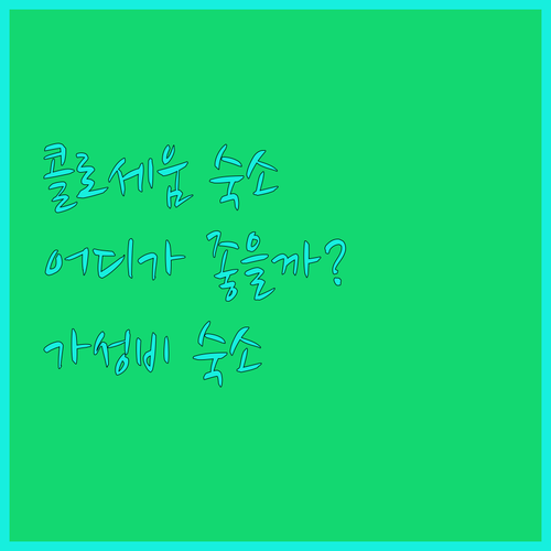 콜로세움 근처 숙소 추천 프로푸모 컬