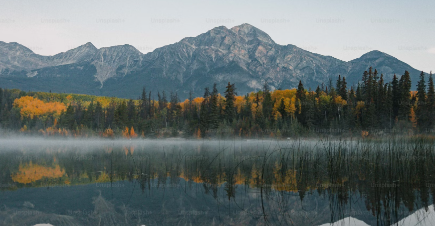 구거점용허가와 농지의 범주