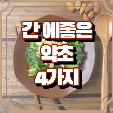 간에 좋은 약초 5가지