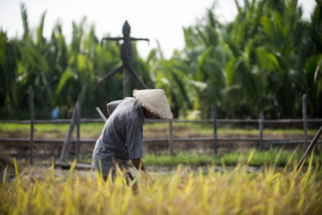 farmers