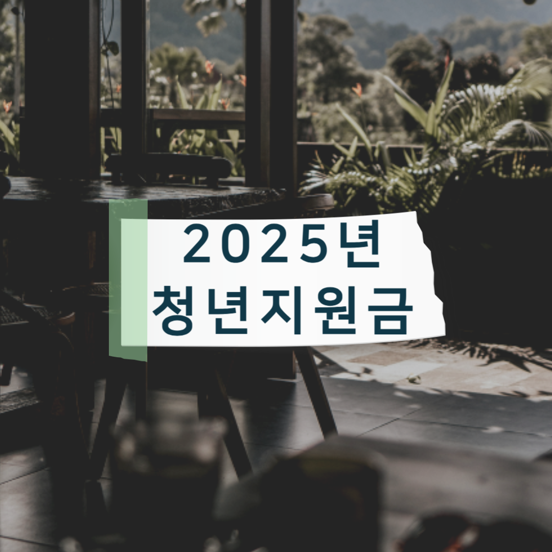 [2025 최신] 청년 지원금 신청 방법 총정리 &ndash; 조건부터 준비 서류까지