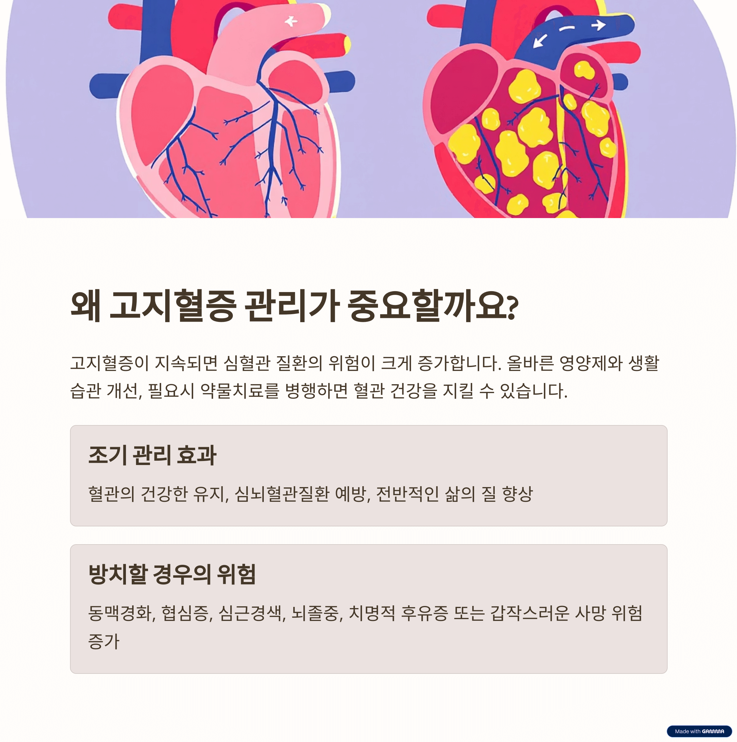 고지혈증 관리의 중요성