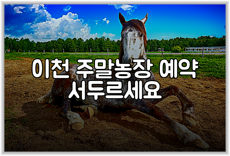 이천 주말농장 예약 서두르세요