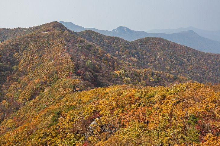 치악산 둘레길 홈페이지