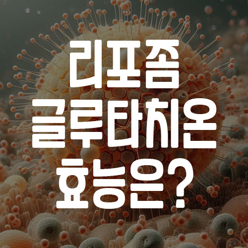 리포좀 글루타치온 효능