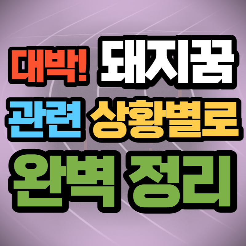 돼지 꿈 해몽 (1)