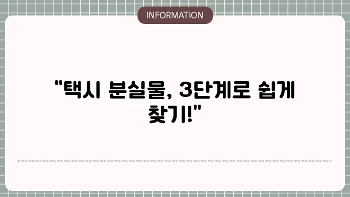 분실물 찾기 버튼 : 카카오택시 트리미트 로카모빌리티 개인택시
