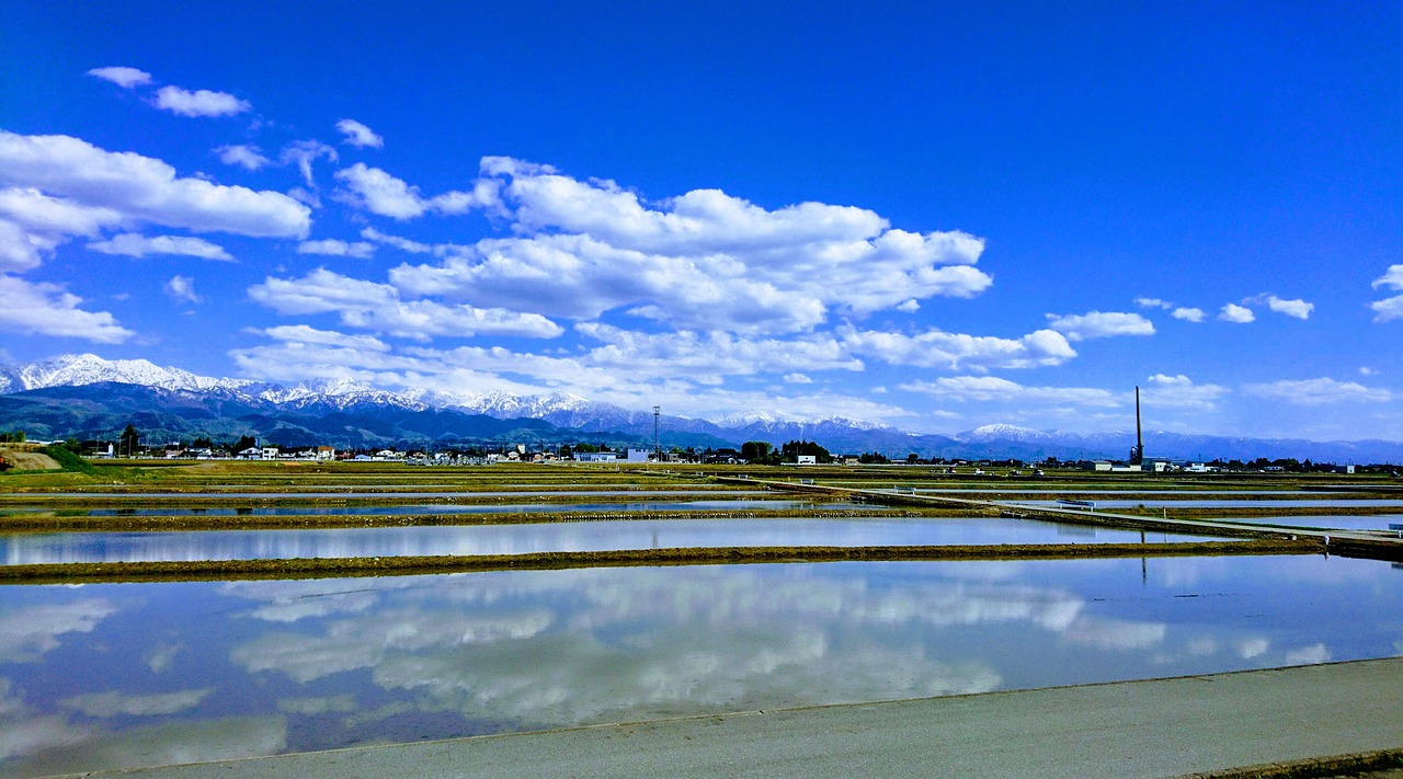 연봉 실수령액 2024년 01