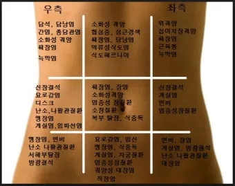 배를 콕콕 찌르는 통증의 8가지 원인 하는법 알아보기로 정리_25