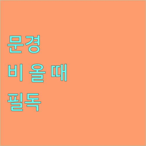 문경 레일바이크 비 올 때 운행 여부..