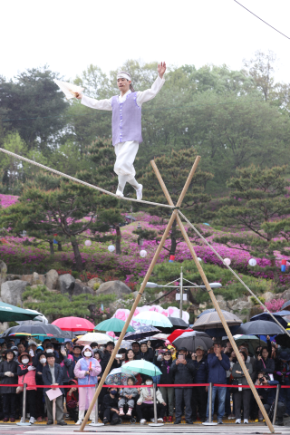 군포 철쭉 축제