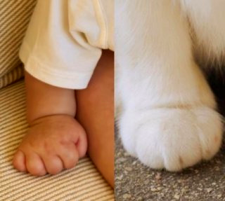 손예진 아들 현빈 남편 나이 프로필