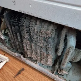 냉장고 청소하는 법 청소법_11