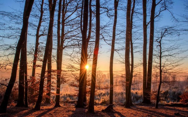 2023년 에너지바우처 지원금액 단가 인상