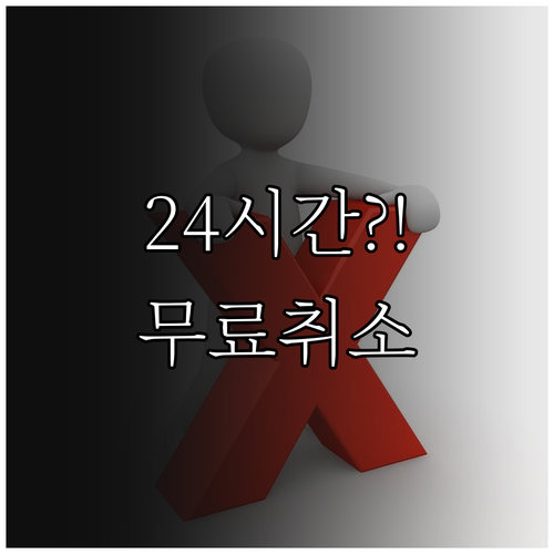 KLM 항공권 24시간 무료 취소 조..