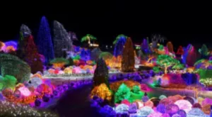 아침고요수목원