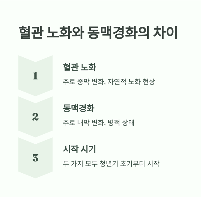 혈과 노화와 동맥경화의 차이