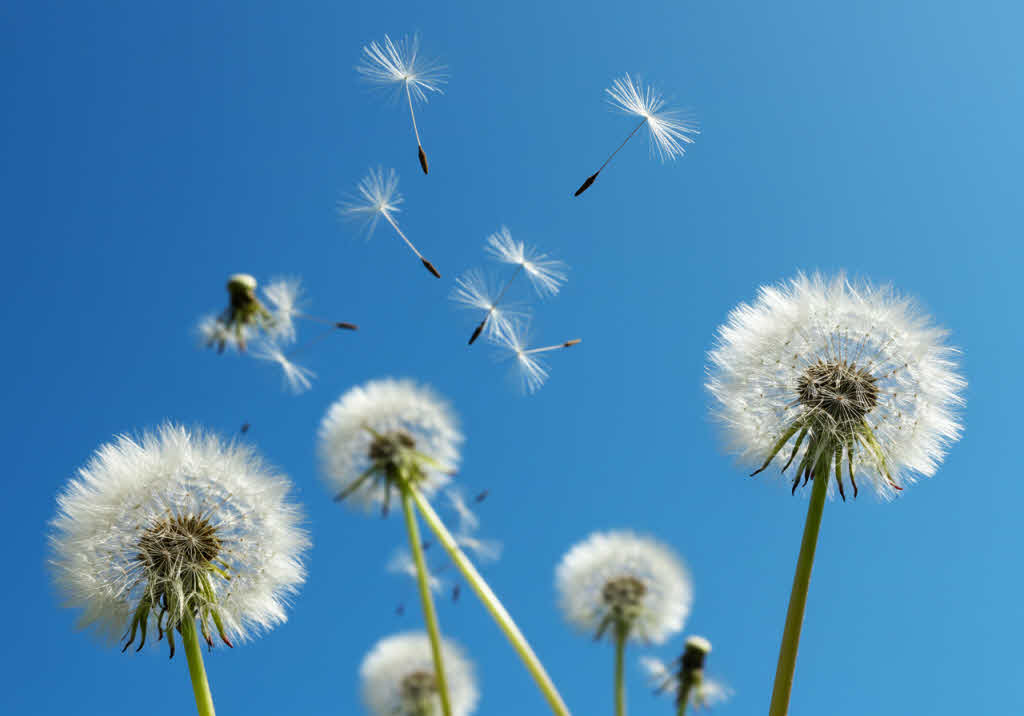 여성 창업 지원, 여성 기업인을 위한 정부의 정책과 지원금