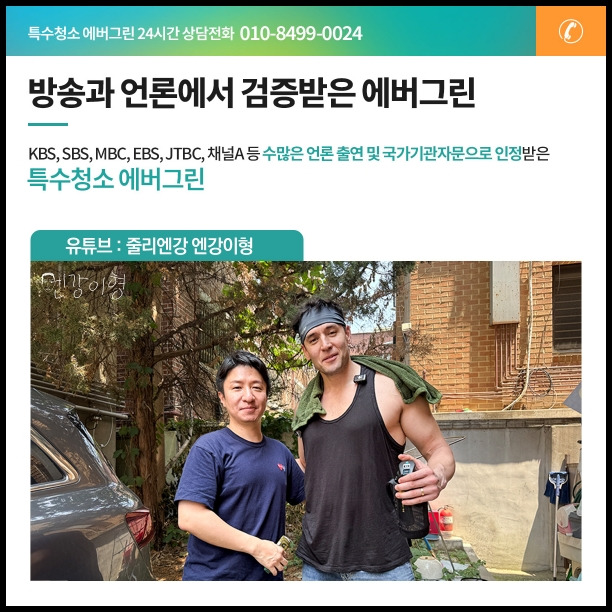 반려동물 배설물로 오염된 실내 전경 - 긴급 특수청소 필요 현장