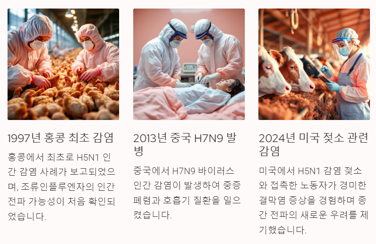 인간감염 위험