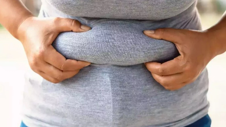 복부 지방 태우는 음식