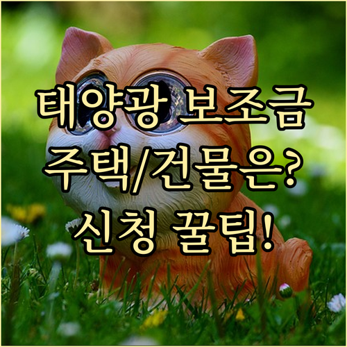 태양광 발전 보조금 지원 대상 심층 ..