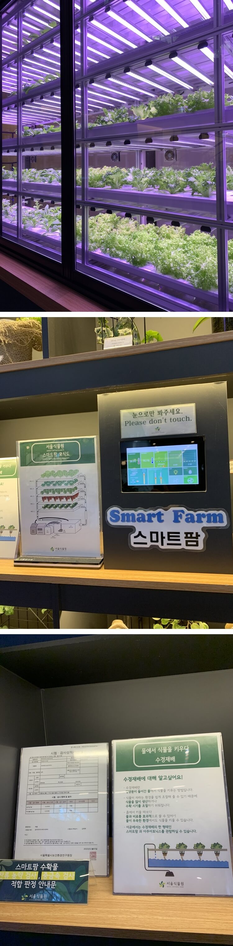 스마트 팜 설명 및 현장