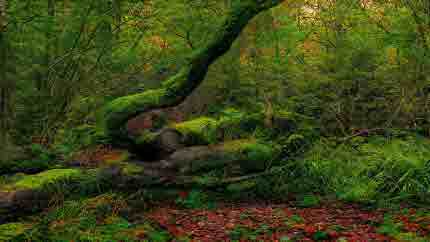 제천 가볼만한곳