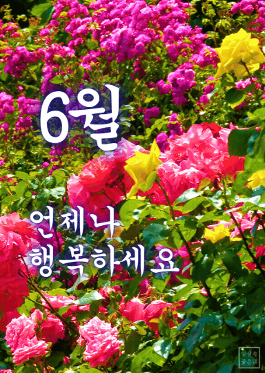 6월 행복 인사말 이미지